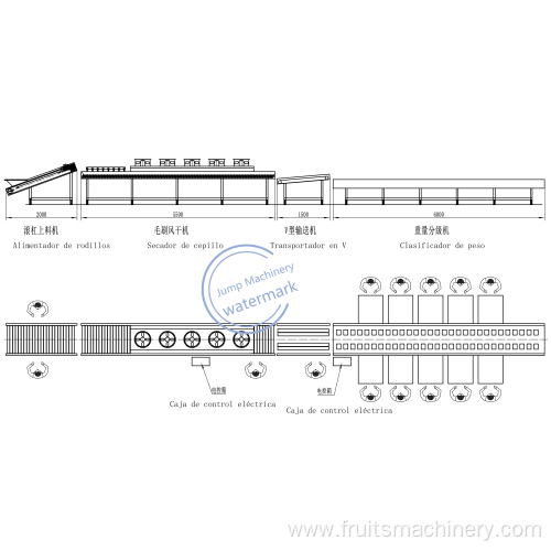 Intelligent Fruit and vegetable Sorting Machine